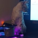 IMG_20250410_215906191